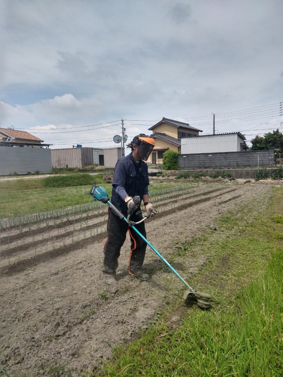 写真:草刈りをする杉浦さん