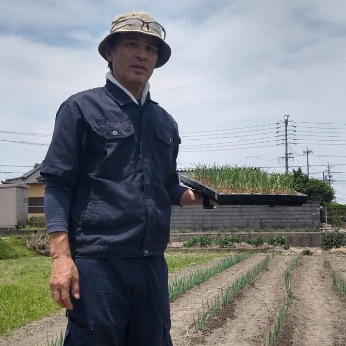 写真:畑の様子